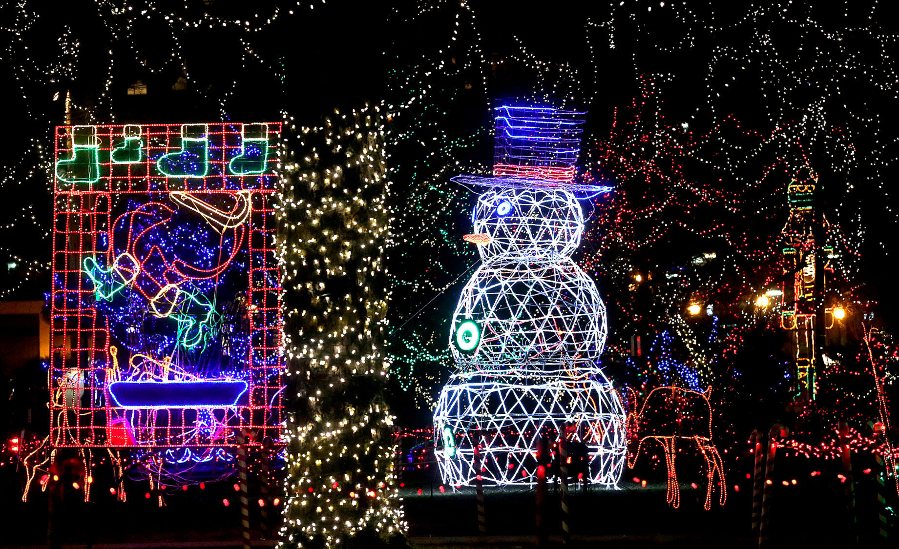 Rotary Lights 2020